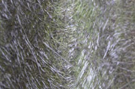 Great Cheveney fibreglass roof work